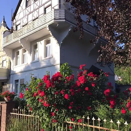 Rheinblick 1 Og Apartman