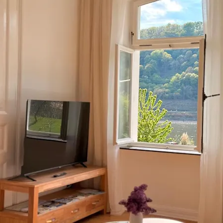 Rheinblick 1 Og Apartment