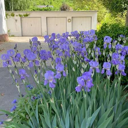 Rheinblick 1 Og Apartman *