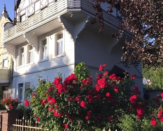 Rheinblick 1 Og Apartamento